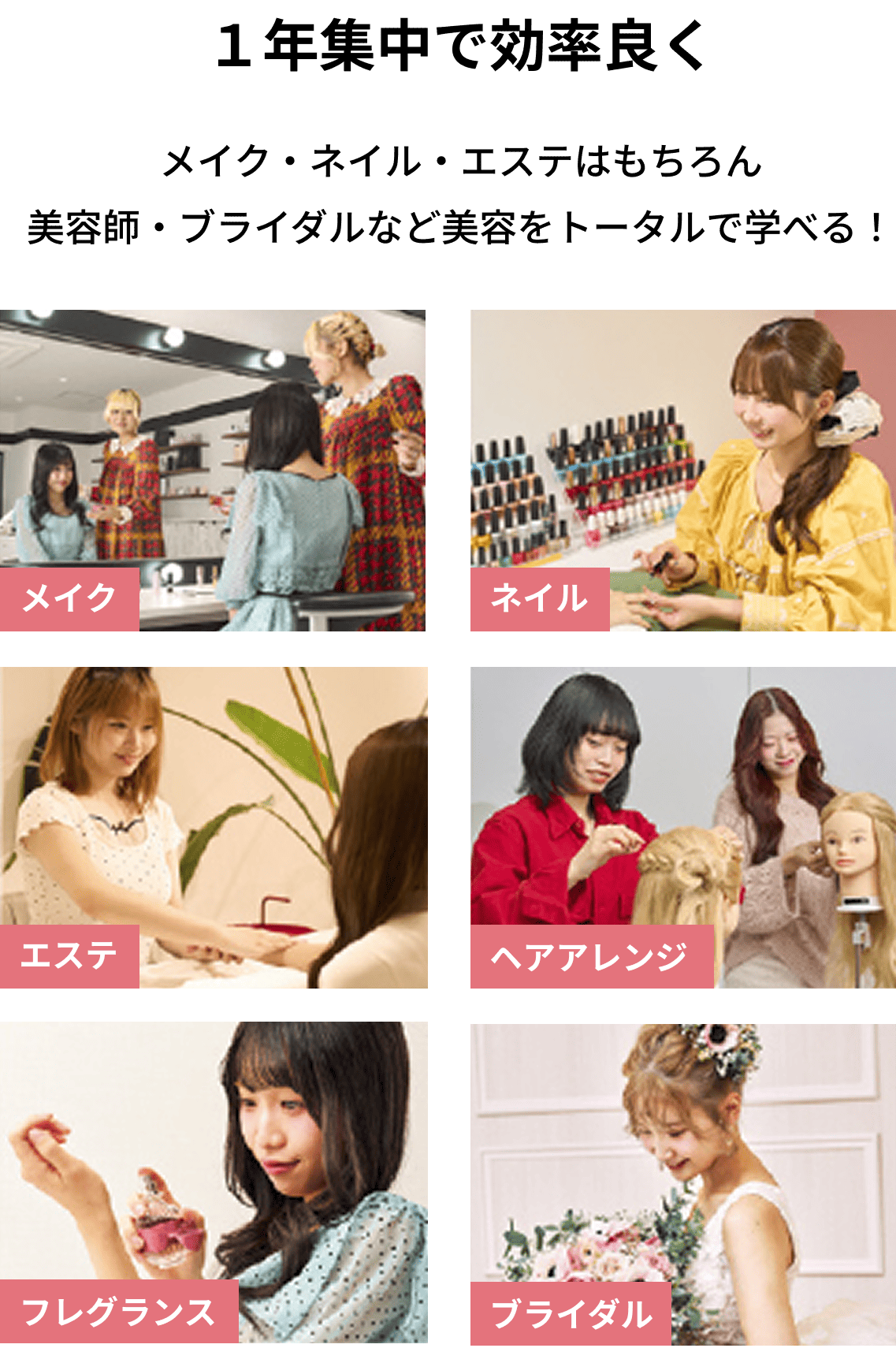 トータルビューティ基礎科