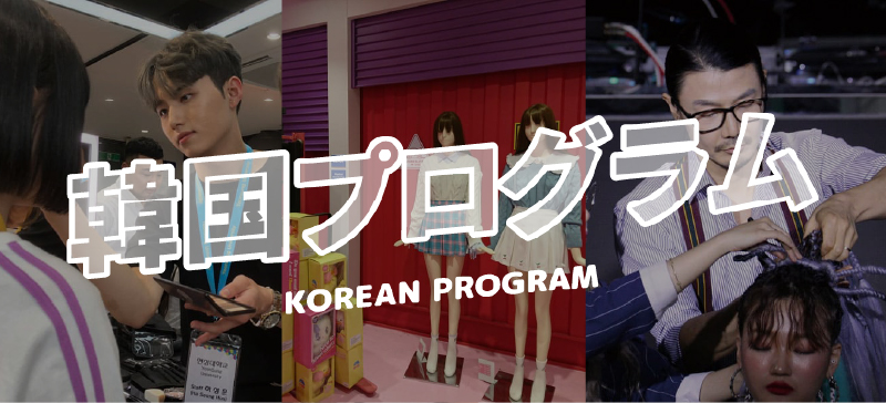 韓国プログラム